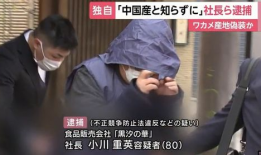 日本国产视频,探索东方魅力与文化精髓