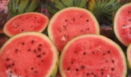 青海浪山最新吃瓜爆料,揭秘神秘事件背后的真相